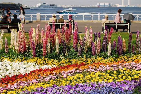 8 Things to do on a Day Trip to Yokohama